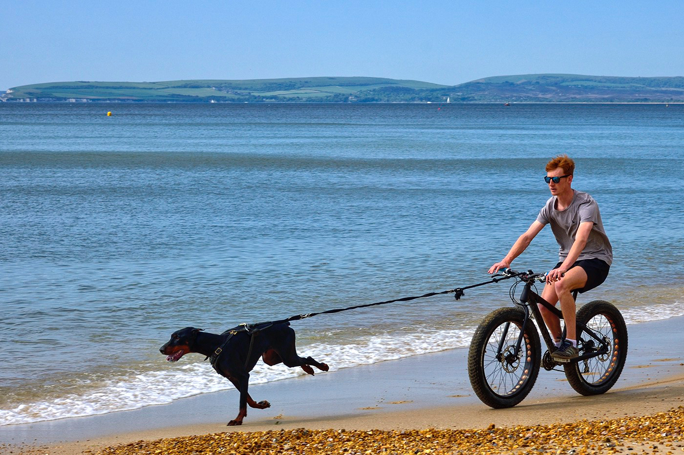 Exercising the dog Bournemouth Beach
